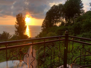 Villa Kolkhi